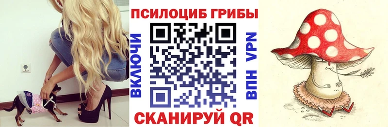 Галлюциногенные грибы прущие грибы закладки мориарти наркотические препараты Старая Купавна