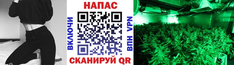 купить   Старая Купавна  Шишки марихуана White Widow 